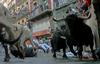 Spanish Bullrun