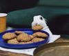 Cookie Rabbit