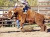 Rodeo