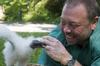 Baby Turkey Vulture