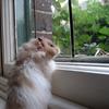 Let me out