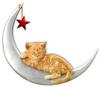 Cat on the Moon