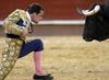 Bull Fighting