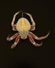 Gold Spider