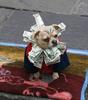 Rich Dog