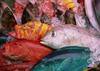 Okinawa - fishes