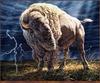 Wildlife art txscans