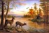 Wildlife art txscans
