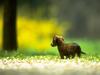 Tiny friends