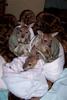A bed full of babies 2