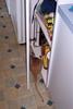 Cupboard rat (2 pics)