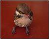 Poor bird 3