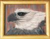 harpyie, painting