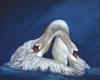 schwan/umschlungen, painting