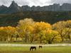 [Daily Photos] Autumn Season in the Country, Utah