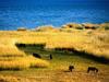 [Daily Photos] Farming Along the Eastern Shore of Lake Titicaca La Paz, Bolivia
