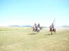 horses