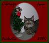 greetings 4