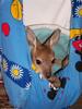 new kids (joeys) 3