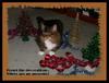 greetings 11