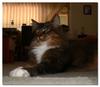 Cleo the princess