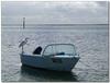 Cap'n Egret 3