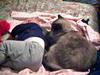 sleeping cat with baby