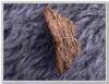 brown moth