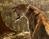 Smilodon fatalis