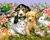Loveable