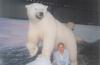 lARGEST pOLAR bEAR