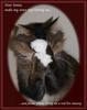 Cleo's Christmas prayer