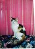 ms.savannah