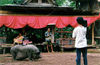 big pig black Form Kg.Mandugi Kimanis Papar Sabah Malaysia