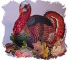 Lets talk Turkey