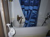 Pictures of My FoxTerrier MiMi