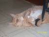 let me sleep