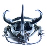 Coleopteras of Indonesia - Chalcosoma caucasus