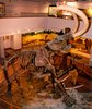 mammoth