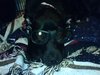 My Pimpin Pup