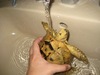 showertime!
