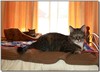 Two on the bed...