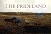 pridelandpridepiccy
