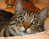 isnt she adorable???????????