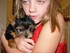 extremely cute yorkie puppies to loving home