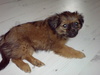 my mia