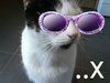 bexxy.