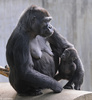 A Moment Shared Between Mother and Daughter