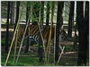 Tiger...