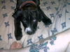 Our ziggy